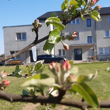 Noclegi Nad Biebrza Stara Szkola Wrocen Extérieur photo