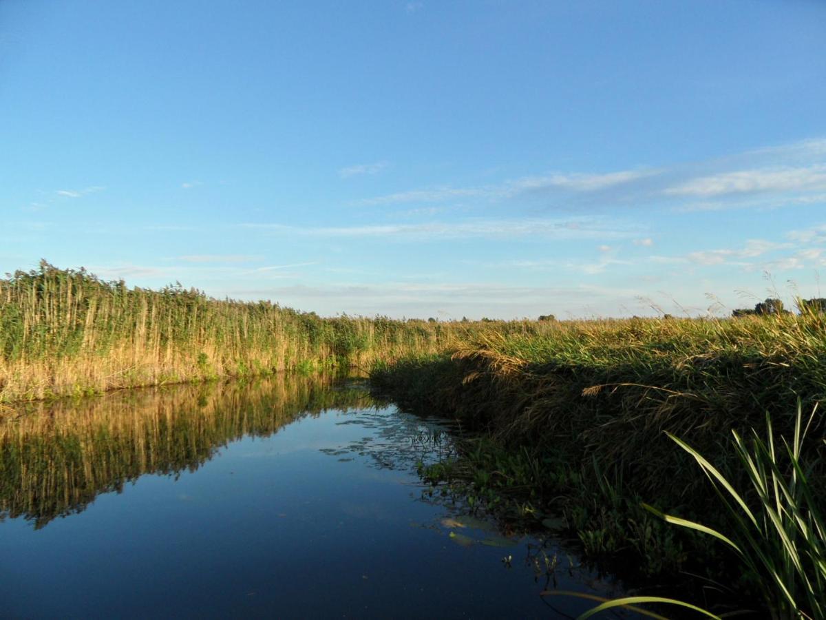 Noclegi Nad Biebrza Stara Szkola Wrocen Extérieur photo