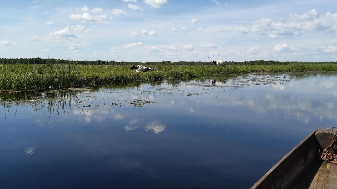 Noclegi Nad Biebrza Stara Szkola Wrocen Extérieur photo