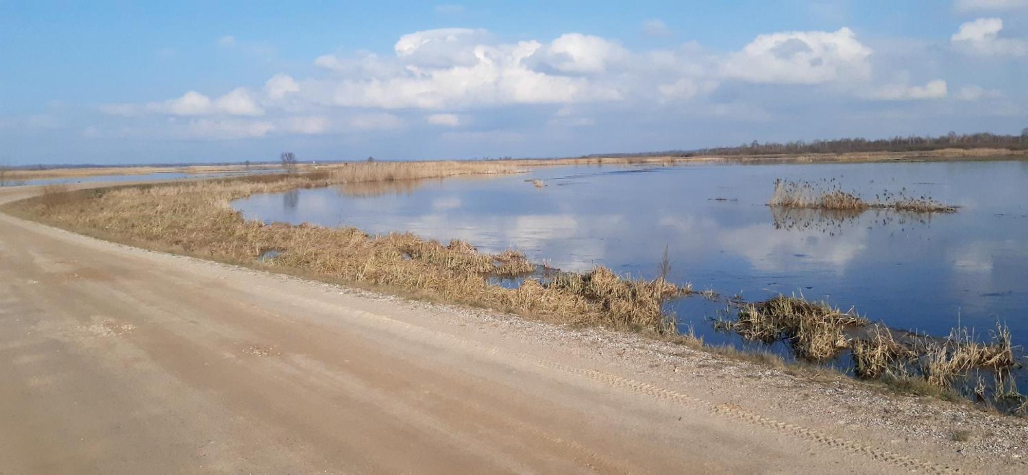 Noclegi Nad Biebrza Stara Szkola Wrocen Extérieur photo