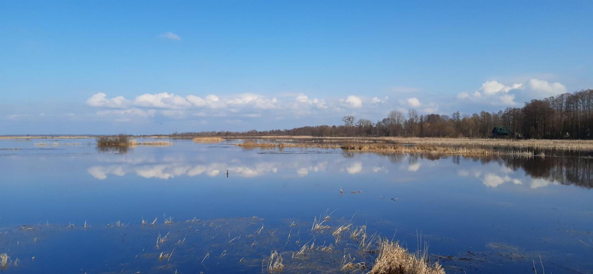 Noclegi Nad Biebrza Stara Szkola Wrocen Extérieur photo
