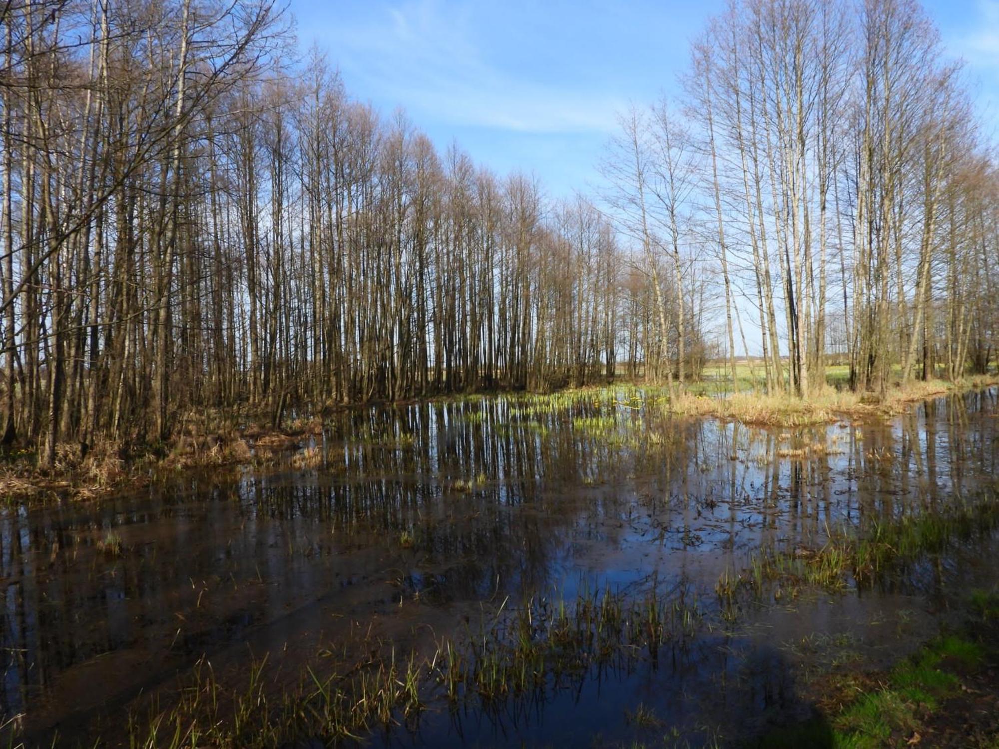 Noclegi Nad Biebrza Stara Szkola Wrocen Extérieur photo