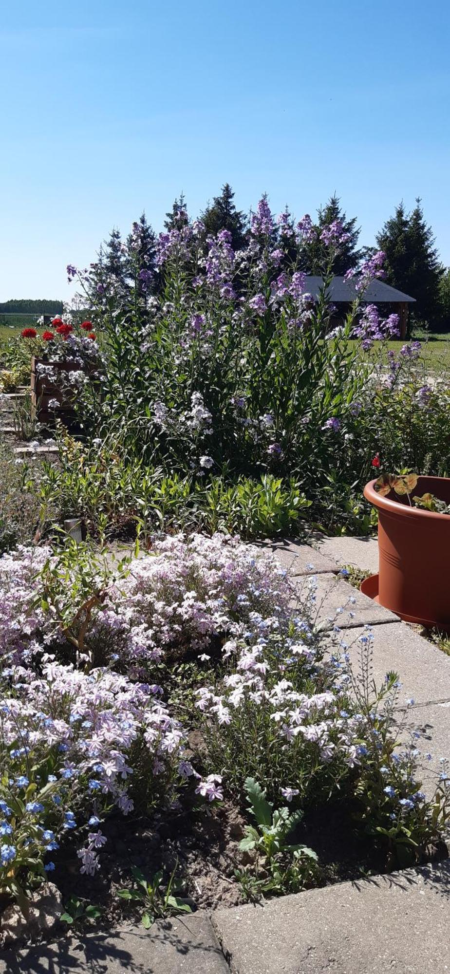 Noclegi Nad Biebrza Stara Szkola Wrocen Extérieur photo