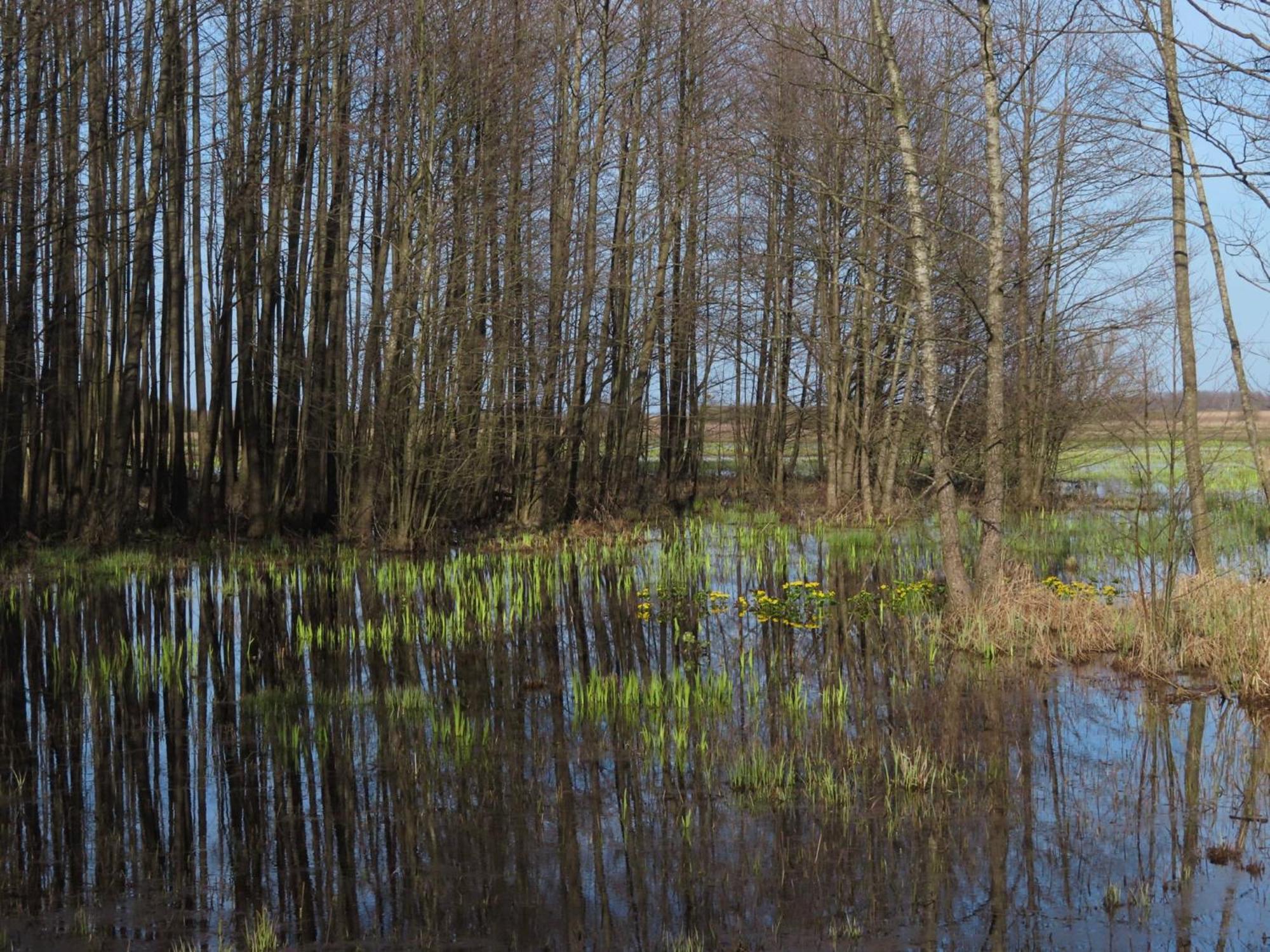 Noclegi Nad Biebrza Stara Szkola Wrocen Extérieur photo