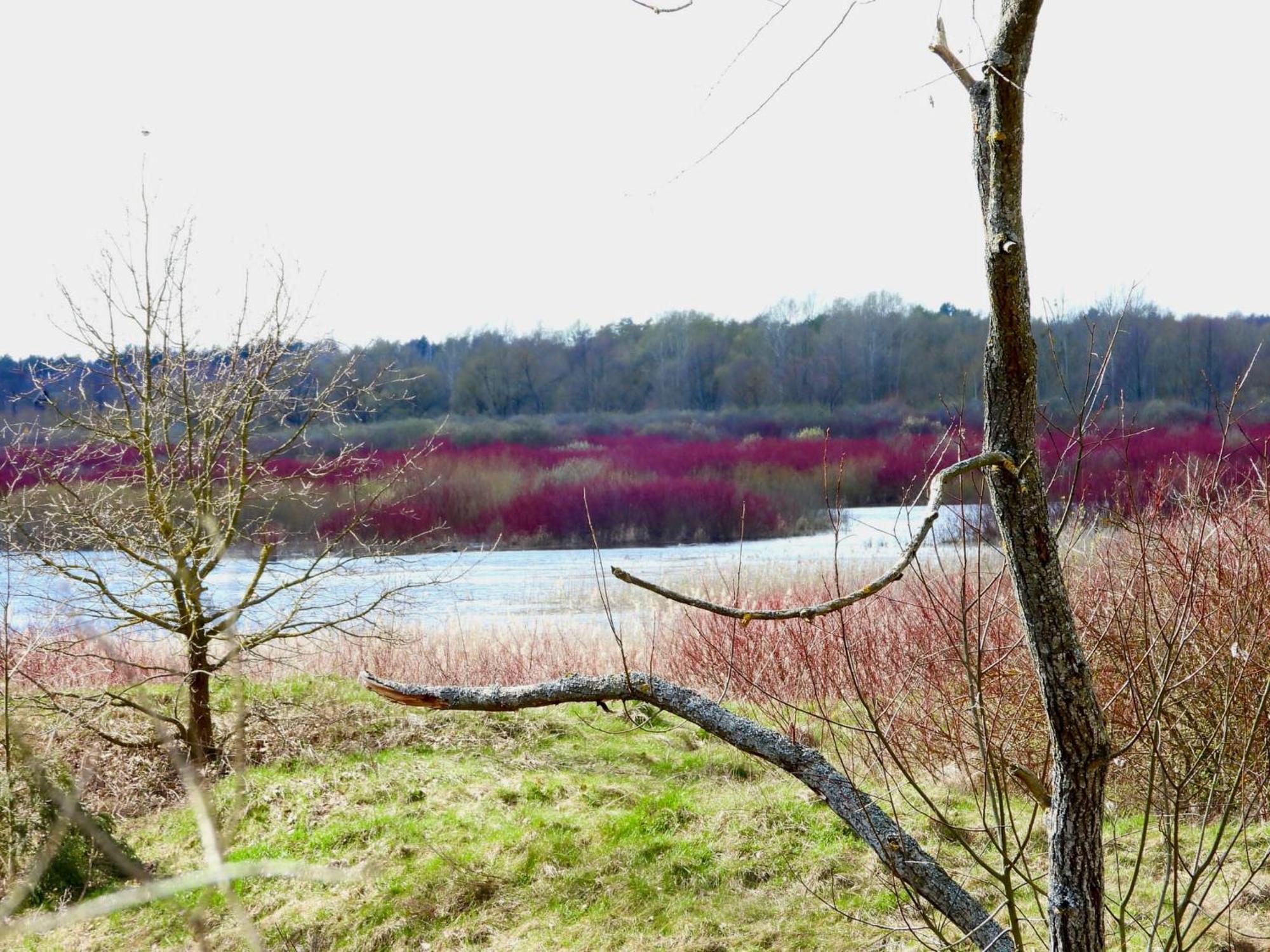 Noclegi Nad Biebrza Stara Szkola Wrocen Extérieur photo